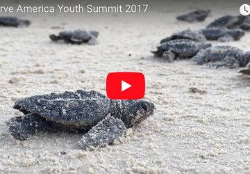 Youth Summits 2017 Video